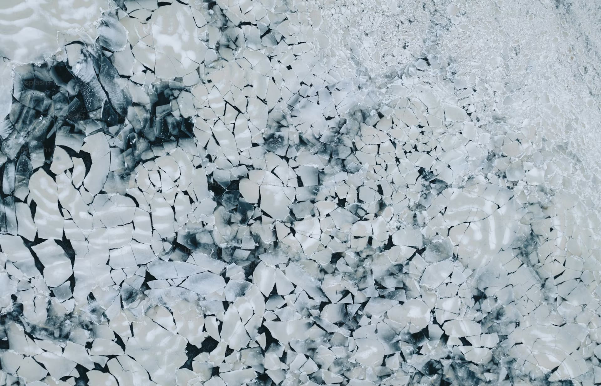 fermento lattico liofilizzato dose da 10 litri